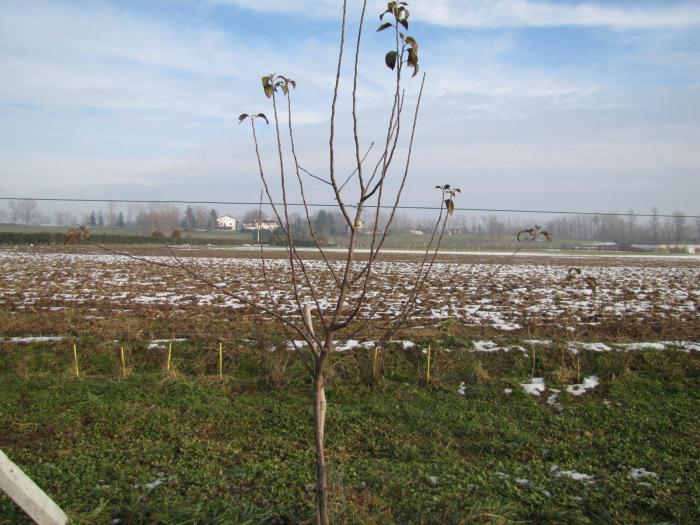 Immagine 038.jpg