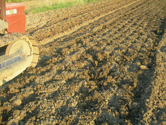 Estirpatore con rullo, quarta versione - terra