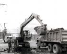 Drott