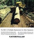 Caterpillar