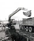 Drott