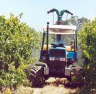 landini cingoli in gomma