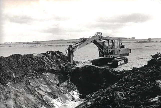Baukema