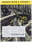Caterpillar
