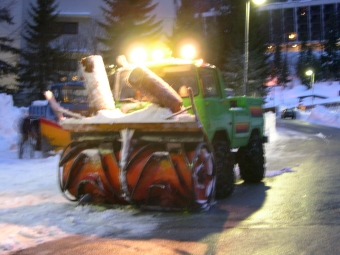 FRESA FRESIA IN NOTTURNA