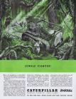 Caterpillar
