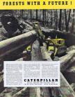 Caterpillar