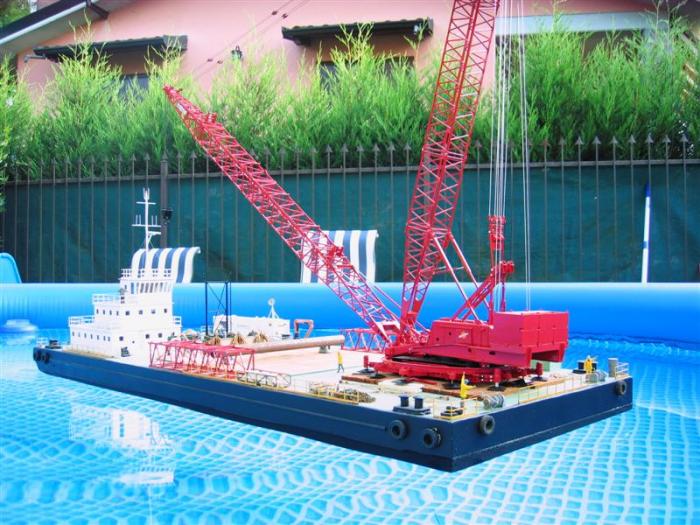 IMG_2494 _Medium_.JPG