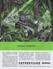 Caterpillar