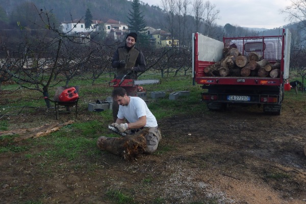 P1010763 Resized.jpg