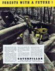 Caterpillar