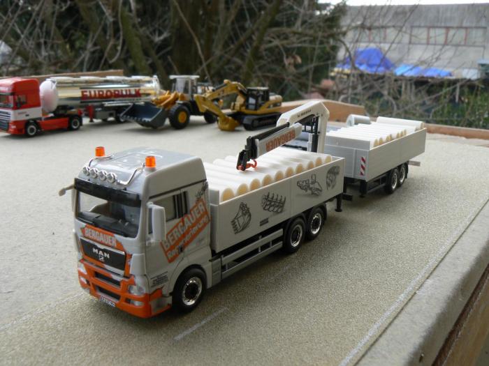 Bergauer - Man Tgx (02)