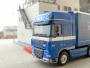 Iemoli Trasporti - Daf XF105.460 (11)