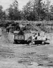 Drott