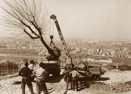 Autogrù ORMIG