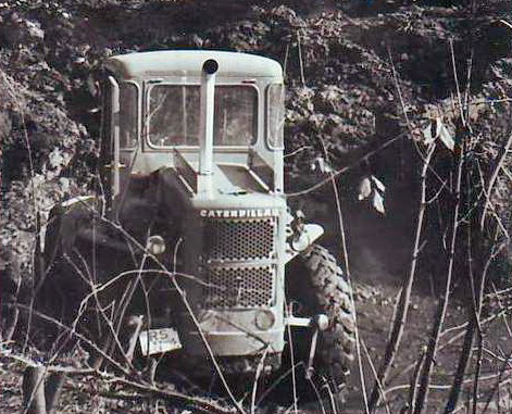 Caterpillar