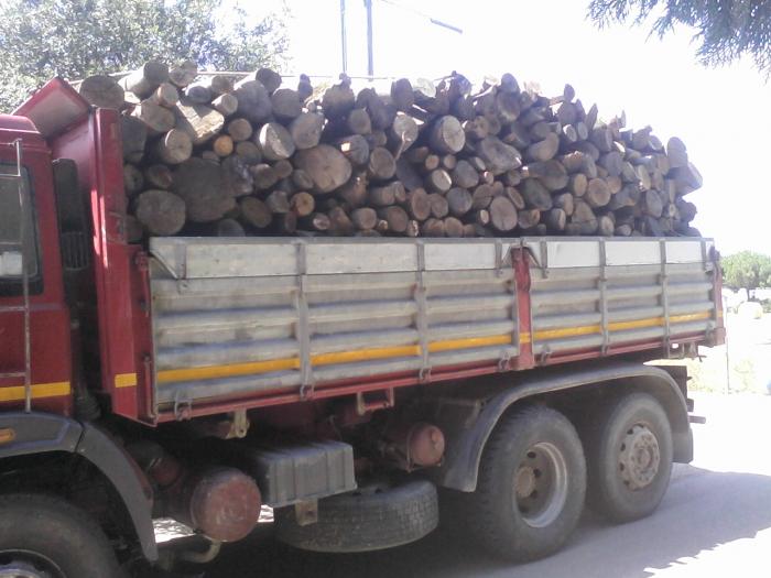 190-30 a legna Bartolini Federico