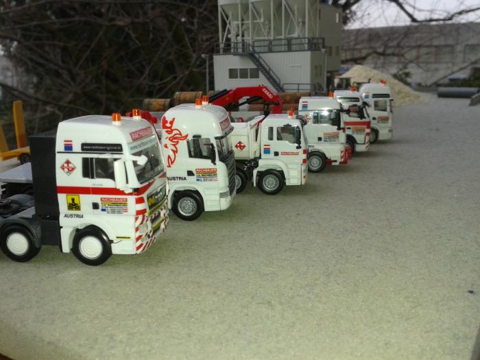 Rachbauer Special - Parco mezzi (02)