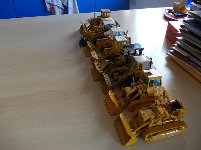 Pale cingolate in schiera