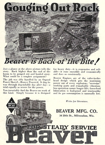 Osgood Beaver