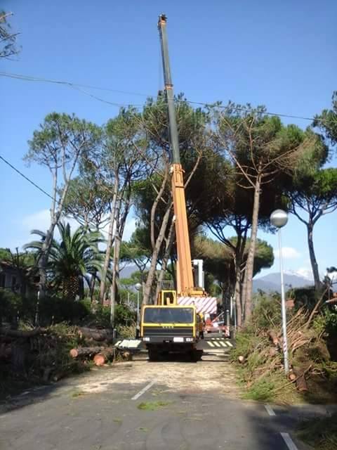 Autogrù ORMIG