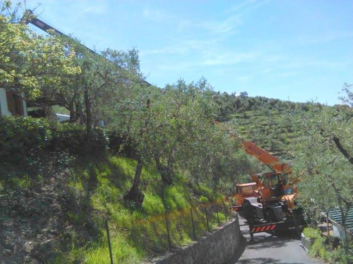 Autogrù ORMIG