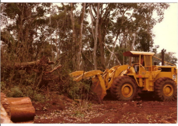 Caterpillar 966C 4