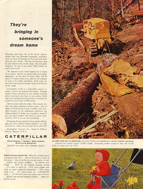 Caterpillar