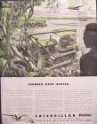 Caterpillar