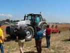 Lamborghini R7 200 con aratro quadrivomere Sogema
