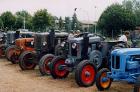 Landini