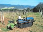 New Holland