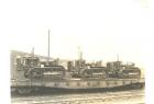 Caterpillar Sixty